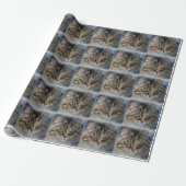 Maine Coon Cat Portrait Wrapping Paper Cadeaupapier (Uitgerold)