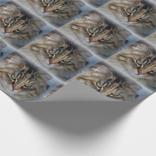 Maine Coon Cat Portrait Wrapping Paper Cadeaupapier (Hoek)