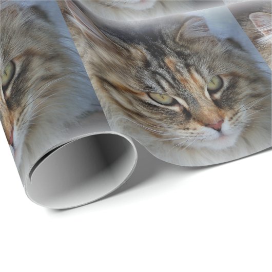 Maine Coon Cat Portrait Wrapping Paper Cadeaupapier (Rol Hoek)
