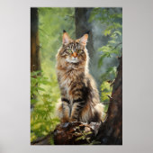 Maine Coon cat Poster (Voorkant)