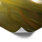 Maine Coon Cat Poster (Hoek)