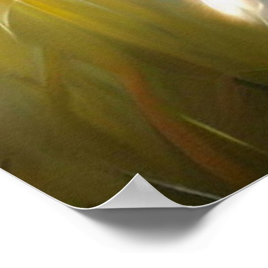 Maine Coon Cat Poster (Hoek)