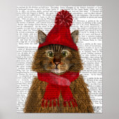 Maine Coon Cat Poster (Voorkant)