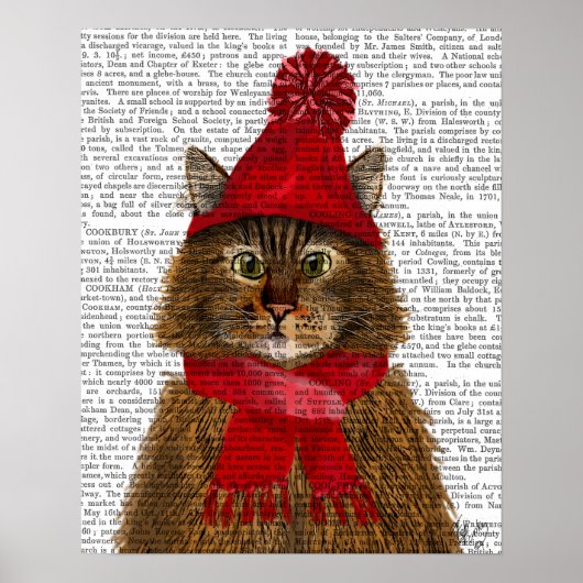 Maine Coon Cat Poster (Voorkant)