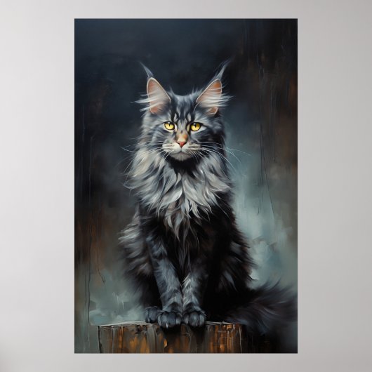 Maine Coon cat Poster (Voorkant)