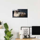 Maine Coon Cat Poster (Thuiskantoor)