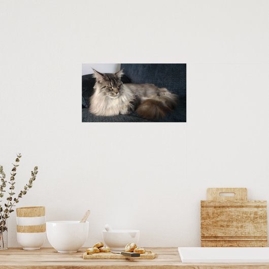 Maine Coon Cat Poster (Keuken)