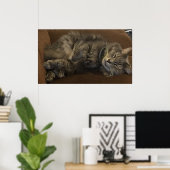 Maine Coon Cat Poster (Thuiskantoor)