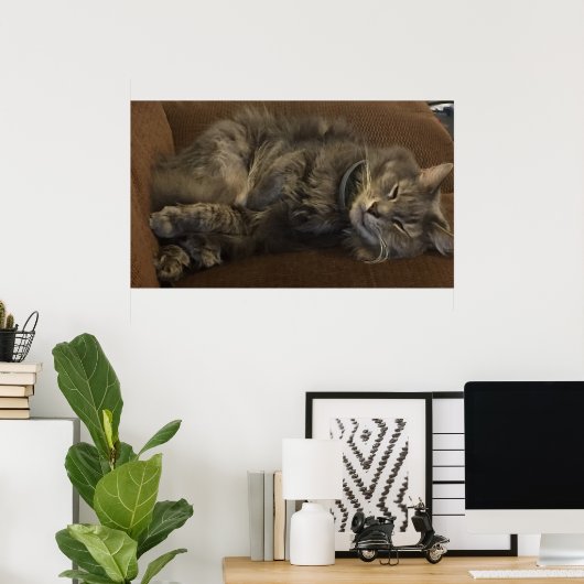 Maine Coon Cat Poster (Thuiskantoor)