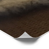 Maine Coon Cat Poster (Hoek)