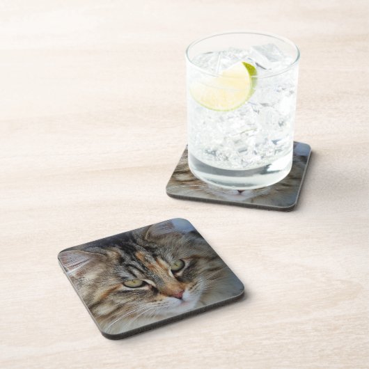Maine Coon cat Potrait Drankjes Onderzetter (Rechterzijde)