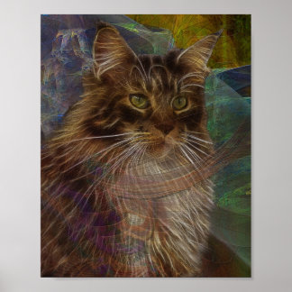 Maine Coon Cat - Rechthoekige kunst Poster