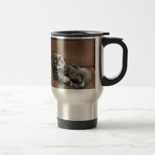 Maine Coon Cat Reisbeker