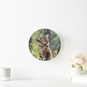 Maine Coon cat Ronde Klok (Huis)