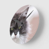 Maine Coon Cat Ronde Klok (Hoek)