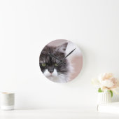 Maine Coon Cat Ronde Klok (Huis)