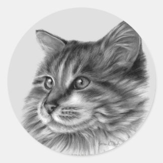 Maine Coon Cat Ronde Sticker