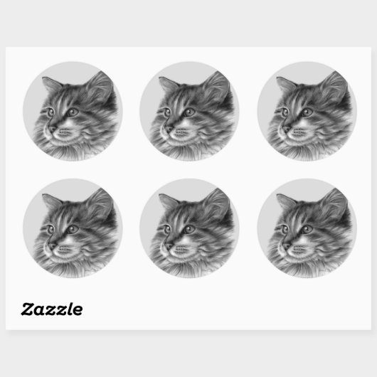 Maine Coon Cat Ronde Sticker (Vel)