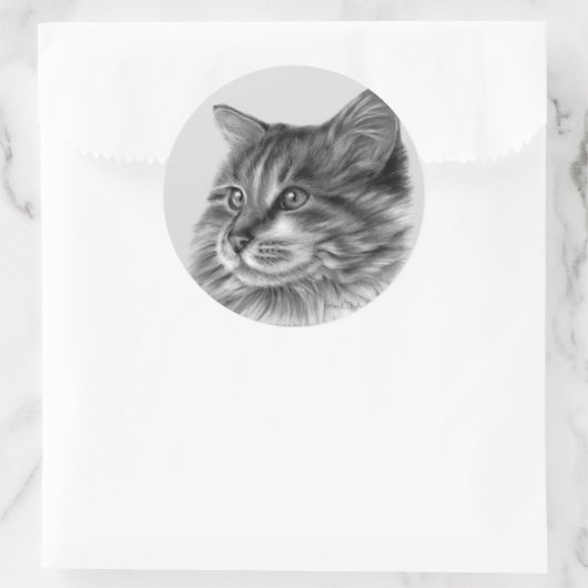 Maine Coon Cat Ronde Sticker (Tas)