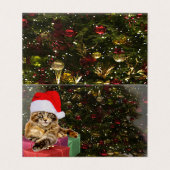 Maine Coon Cat Santa & Gifts Kerstmis Achter Kaart (Buitenkant ongevouwen)