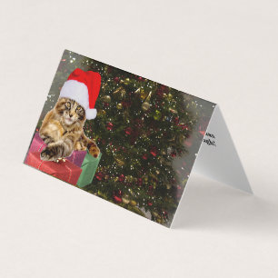 Maine Coon Cat Santa & Gifts Kerstmis Achter Kaart