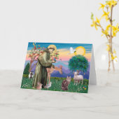 Maine Coon Cat - Sint Franciscus Kaart (Gele Bloem)