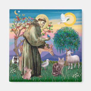 Maine Coon Cat - Sint Franciscus Magneet