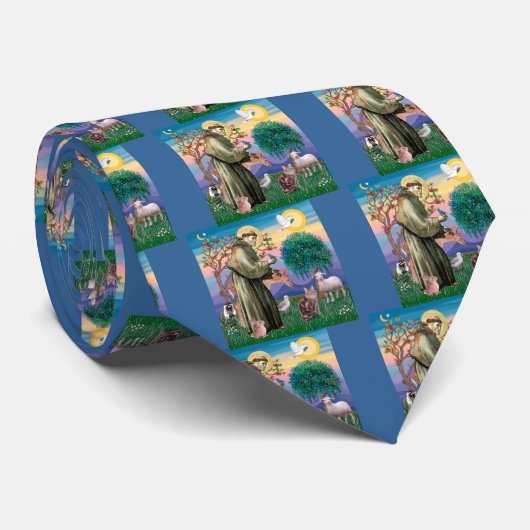 Maine Coon Cat - Sint Franciscus Stropdas (Opgerold)