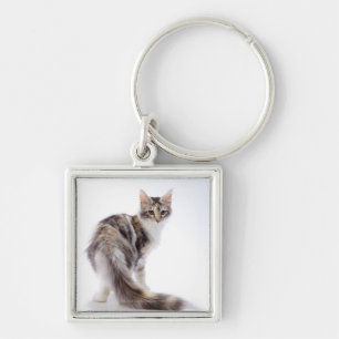 Maine Coon cat Sleutelhanger