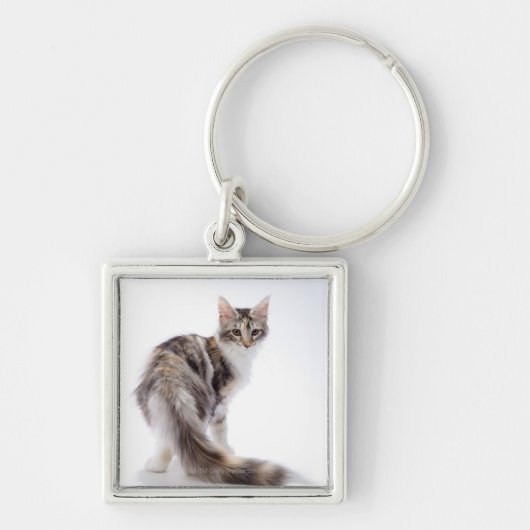 Maine Coon cat Sleutelhanger (Voorkant)