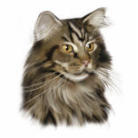 Maine Coon Cat Staand Fotobeeldje<br><div class="desc">Een mooie Maine Coon kat.</div>