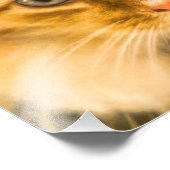 MAINE COON CAT STARE DOOD FOTO AFDRUK (Hoek)