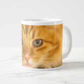 MAINE COON CAT STARE DOOD GROTE KOFFIEKOP (Voorkant rechts)