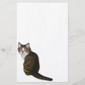 Maine Coon Cat Stationery Briefpapier (Voorkant)