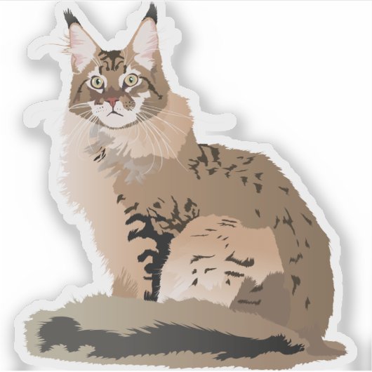Maine Coon Cat Sticker (Voorkant)