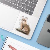 Maine Coon Cat Sticker (Laptop met iPhone)