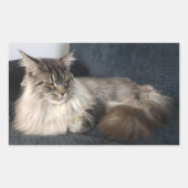 Maine Coon Cat Stickers (Voorkant)
