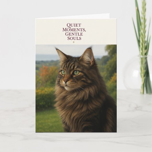 Maine Coon Cat Sympathy & Thinking of You Card  Feestdagen Kaart (Voorkant)