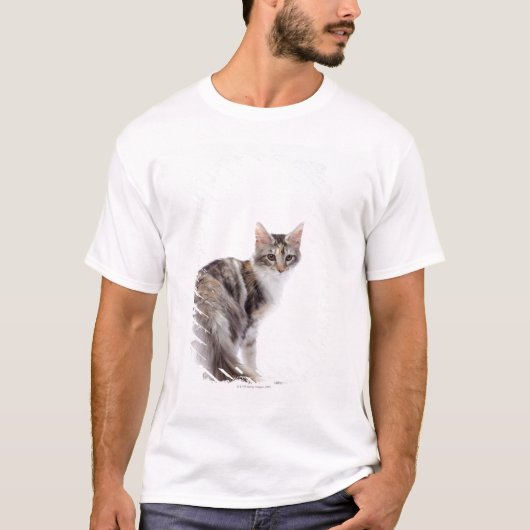 Maine Coon cat T-shirt (Voorkant)