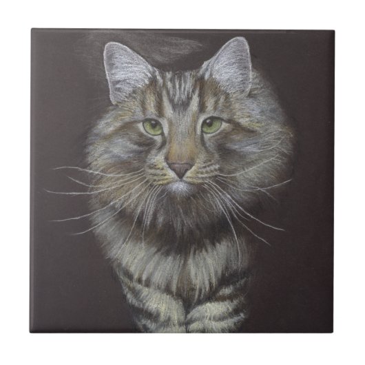 Maine Coon Cat Tegeltje (Voorkant)