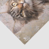 Maine Coon Cat Tissuepapier (Detail)