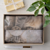 Maine Coon Cat Tissuepapier (Geschenk)