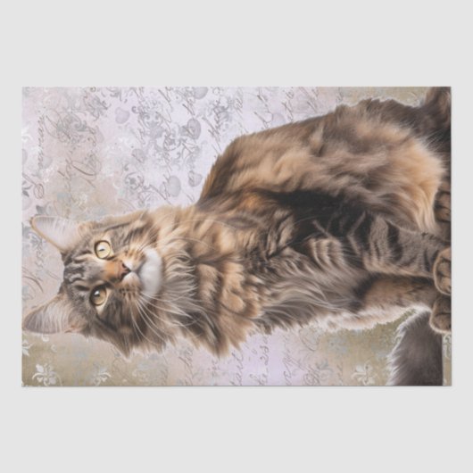 Maine Coon Cat Tissuepapier (Voorkant)
