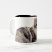 Maine Coon cat Tweekleurige Koffiemok (Voorkant links)