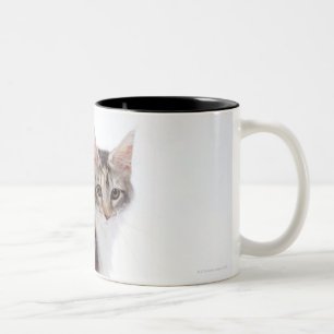 Maine Coon cat Tweekleurige Koffiemok