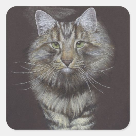 Maine Coon Cat Vierkante Sticker (Voorkant)