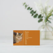 Maine Coon Cat Visitekaartje (Staand voorkant)