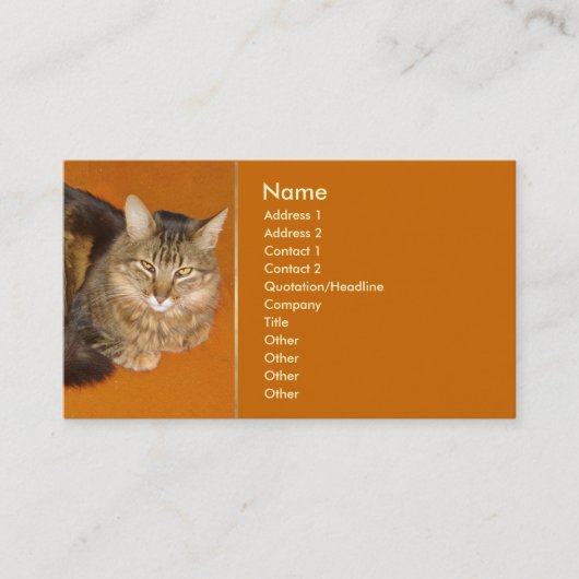 Maine Coon Cat Visitekaartje (Voorkant)