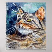 Maine Coon Cat wall Poster Print (Voorkant)