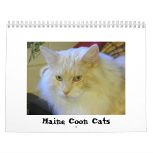 Maine Coon Cats Kalender
